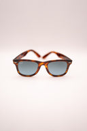 RAY-BAN WAYFARER EASE