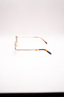 TOMMY HILFIGER TH2219